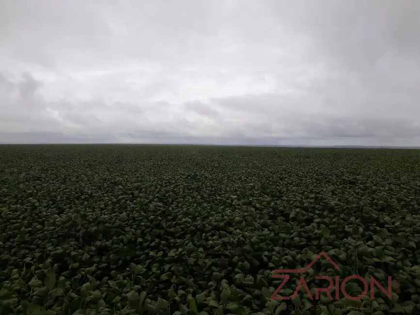 Foto 5 de Fazenda / Haras à venda, 760m2 em Centro, Uberlandia - MG