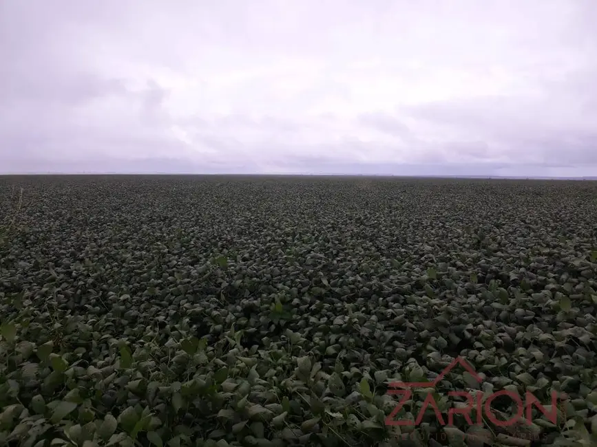 Foto 3 de Fazenda / Haras à venda, 760m2 em Centro, Uberlandia - MG