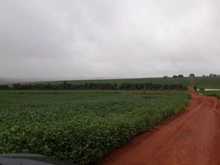 Foto 8 de Fazenda / Haras à venda, 760m2 em Centro, Uberlandia - MG