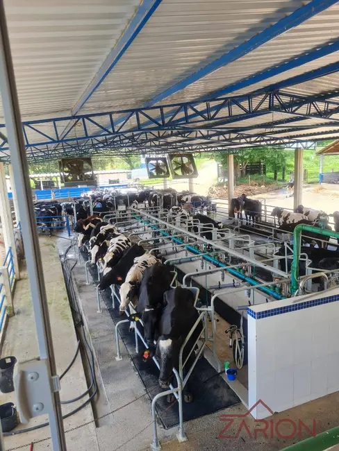 Foto 3 de Fazenda / Haras com 16 quartos à venda, 138m2 em Área Rural de Lorena, Lorena - SP