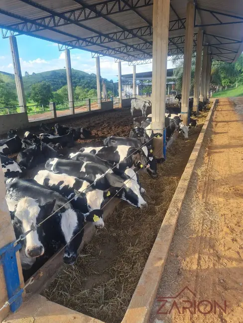 Fazenda / Haras com 16 quartos à venda, 138m2 em Área Rural de Lorena, Lorena - SP - imagem 5 Foto 5 de Fazenda / Haras com 16 quartos à venda, 138m2 em Área Rural de Lorena, Lorena - SP