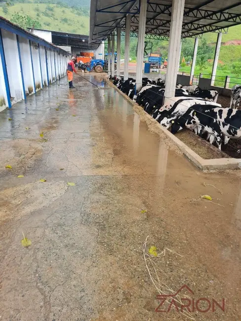 Foto 8 de Fazenda / Haras com 16 quartos à venda, 138m2 em Área Rural de Lorena, Lorena - SP