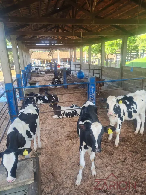 Foto 4 de Fazenda / Haras com 16 quartos à venda, 138m2 em Área Rural de Lorena, Lorena - SP