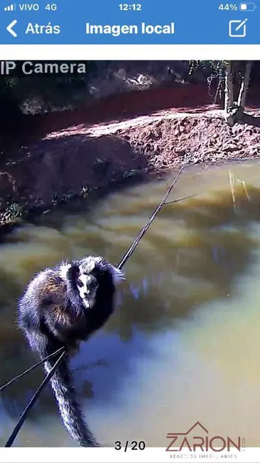 Foto 5 de Sítio / Rancho com 3 quartos à venda, 300m2 em Registro, Taubate - SP