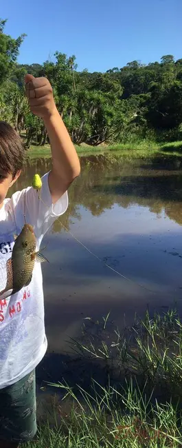Foto 4 de Sítio / Rancho com 3 quartos à venda, 300m2 em Registro, Taubate - SP
