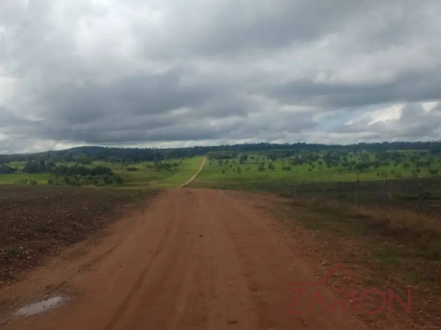 Foto 6 de Fazenda / Haras à venda e para alugar, 13000m2 em Navirai - MS