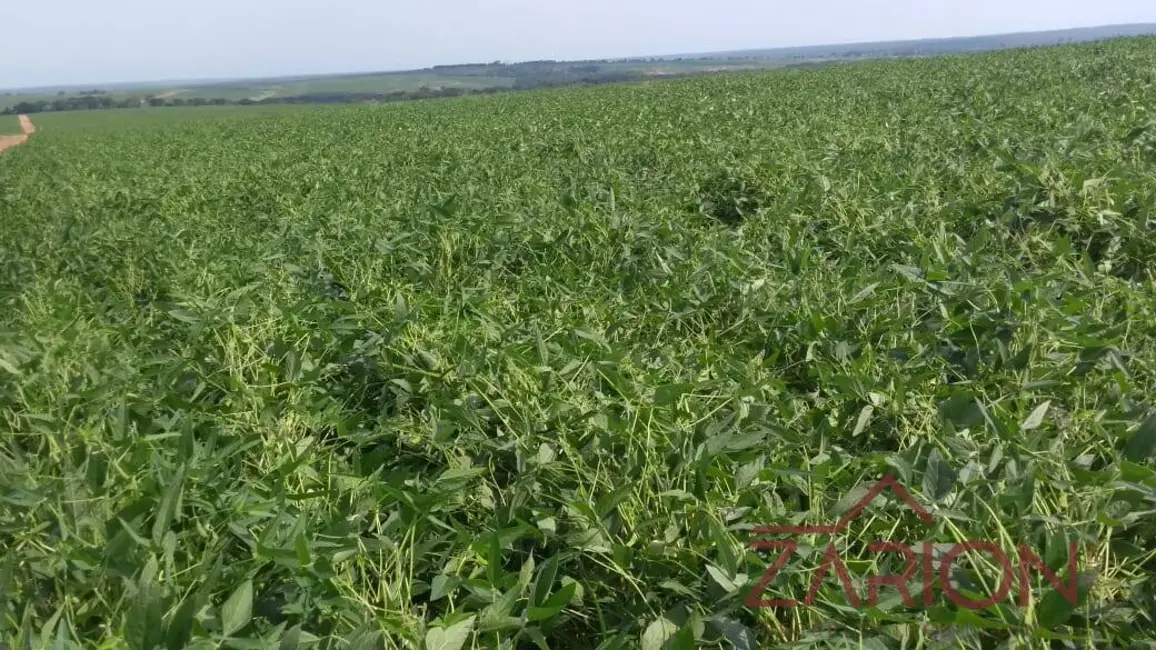 Foto 9 de Fazenda / Haras à venda e para alugar, 13000m2 em Navirai - MS