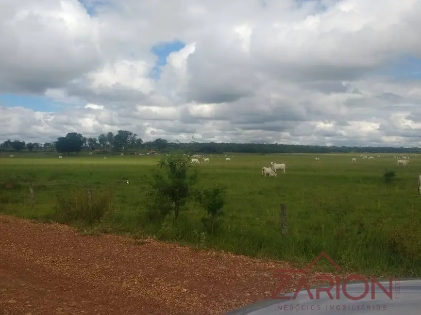 Foto 8 de Fazenda / Haras à venda e para alugar, 13000m2 em Navirai - MS