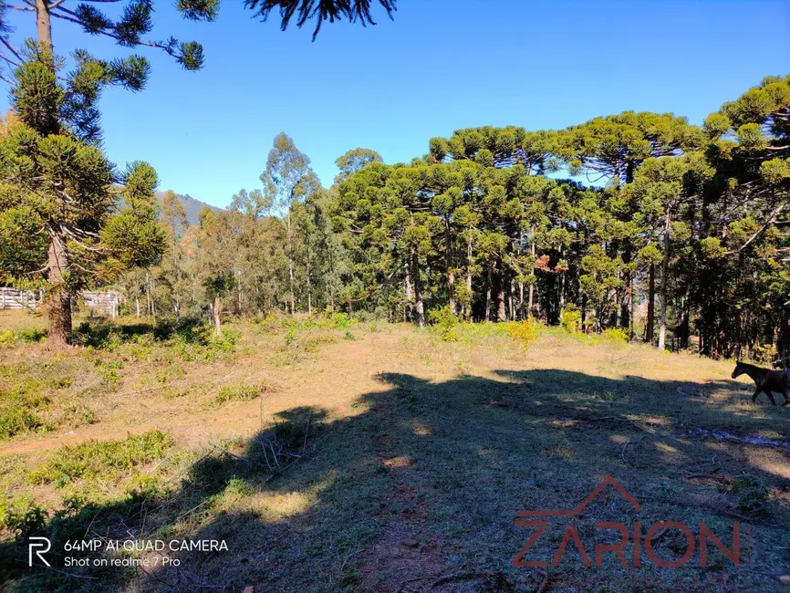 Fazenda / Haras à venda, 230000m2 em Campos Do Jordao - SP - imagem 5 Foto 5 de Fazenda / Haras à venda, 230000m2 em Campos Do Jordao - SP