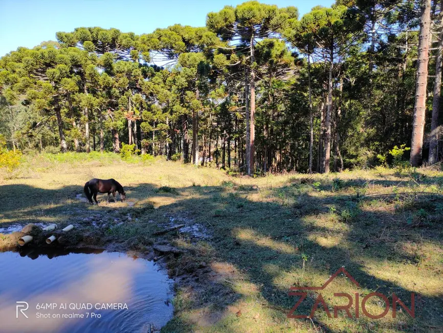 Fazenda / Haras à venda, 230000m2 em Campos Do Jordao - SP - imagem 4 Foto 4 de Fazenda / Haras à venda, 230000m2 em Campos Do Jordao - SP