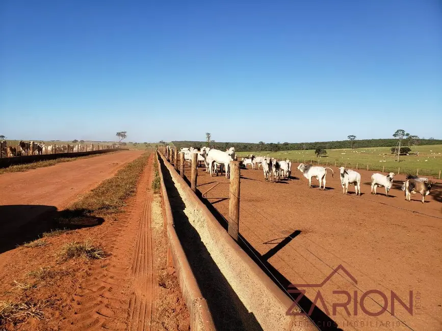 Foto 8 de Fazenda / Haras à venda, 20000m2 em Dracena - SP