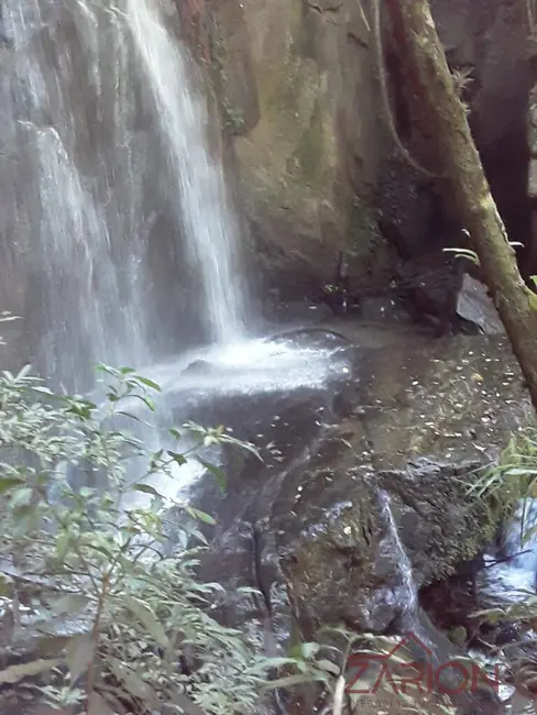 Fazenda / Haras à venda, 34m2 em Cunha - SP - imagem 2 Foto 2 de Fazenda / Haras à venda, 34m2 em Cunha - SP