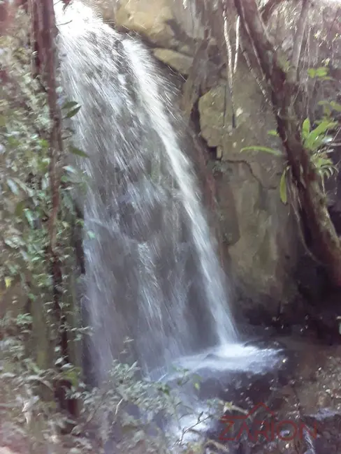 Fazenda / Haras à venda, 34m2 em Cunha - SP - imagem 8 Foto 8 de Fazenda / Haras à venda, 34m2 em Cunha - SP