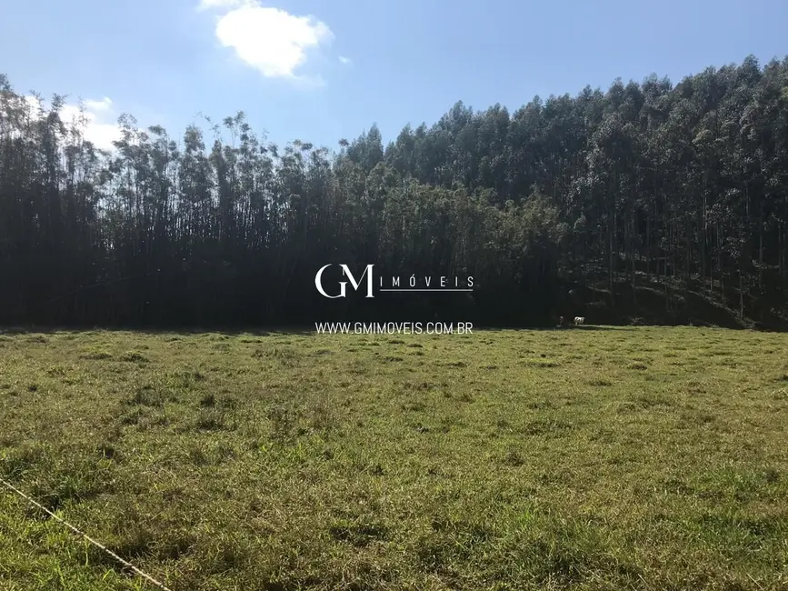 Chácara à venda, 135000m2 em Dom Pedro De Alcantara - RS - imagem 3 Foto 3 de Chácara à venda, 135000m2 em Dom Pedro De Alcantara - RS