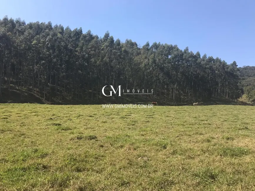 Chácara à venda, 135000m2 em Dom Pedro De Alcantara - RS - imagem 4 Foto 4 de Chácara à venda, 135000m2 em Dom Pedro De Alcantara - RS