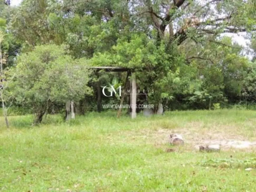Chácara com 3 quartos à venda, 10000m2 em Torres - RS - imagem 8 Foto 8 de Chácara com 3 quartos à venda, 10000m2 em Torres - RS