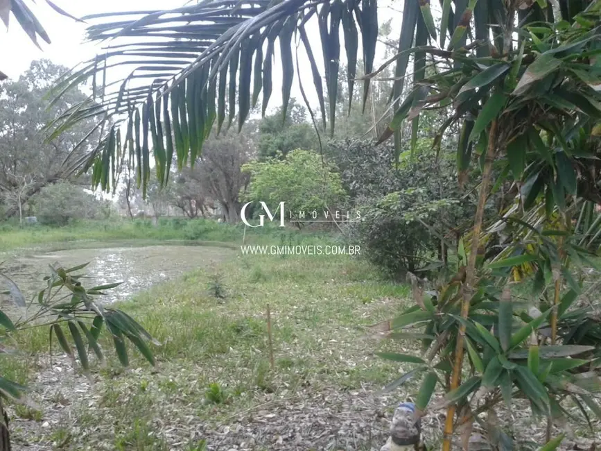 Chácara com 3 quartos à venda, 10000m2 em Torres - RS - imagem 5 Foto 5 de Chácara com 3 quartos à venda, 10000m2 em Torres - RS