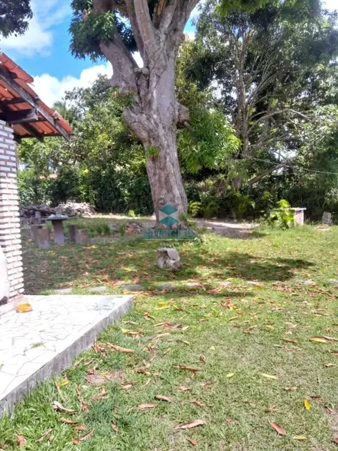 Foto 6 de Sítio / Rancho com 3 quartos à venda, 8700m2 em Mata De Sao Joao - BA