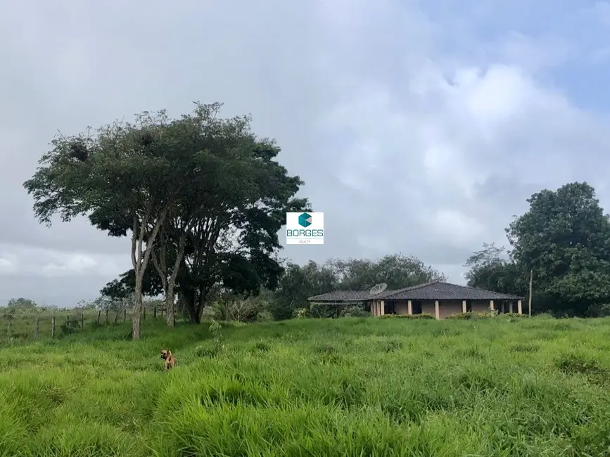 Foto 1 de Fazenda / Haras com 4 quartos à venda, 410m2 em Piritiba - BA