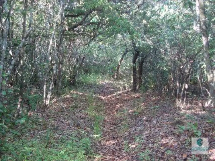 Foto 9 de Fazenda / Haras à venda, 1410000m2 em Jaguaripe - BA