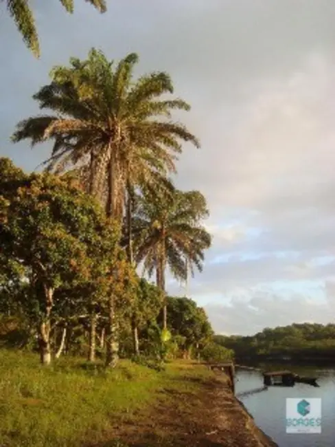 Foto 3 de Fazenda / Haras à venda, 1410000m2 em Jaguaripe - BA