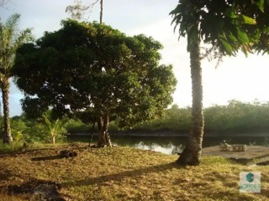 Foto 5 de Fazenda / Haras à venda, 1410000m2 em Jaguaripe - BA