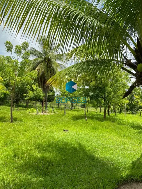 Foto 5 de Fazenda / Haras com 4 quartos à venda, 1080000m2 em Itaberaba - BA