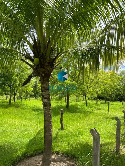 Foto 4 de Fazenda / Haras com 4 quartos à venda, 1080000m2 em Itaberaba - BA