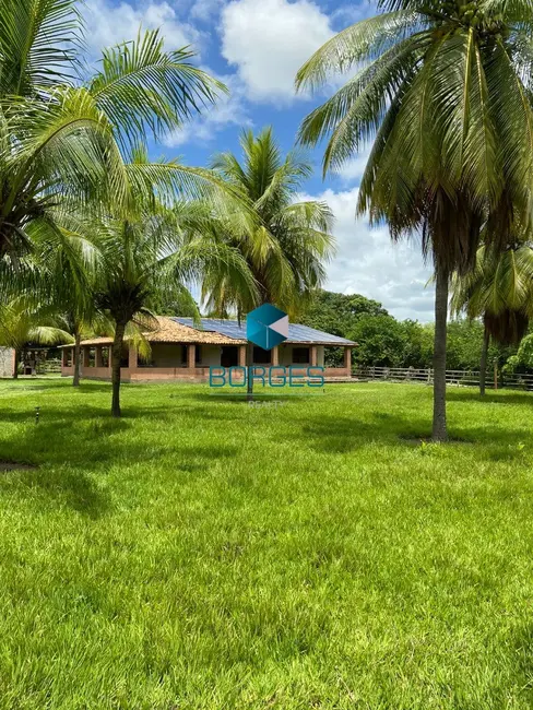 Foto 6 de Fazenda / Haras com 4 quartos à venda, 1080000m2 em Itaberaba - BA