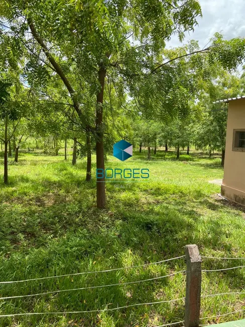 Foto 9 de Fazenda / Haras com 4 quartos à venda, 1080000m2 em Itaberaba - BA
