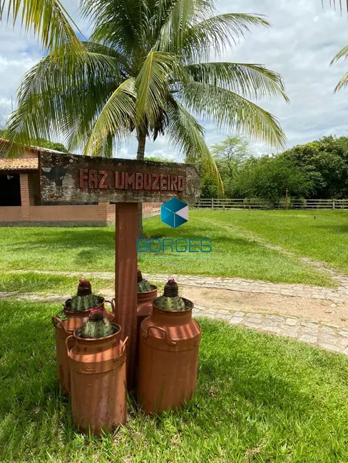 Foto 3 de Fazenda / Haras com 4 quartos à venda, 1080000m2 em Itaberaba - BA