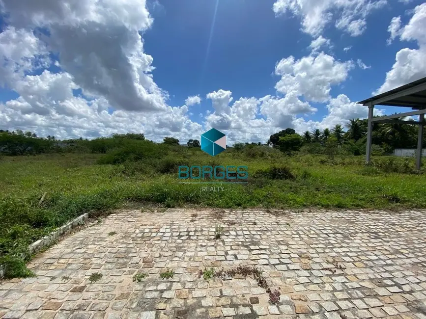 Armazém / Galpão à venda e para alugar, 20000m2 em Feira De Santana - BA - imagem 9 Foto 9 de Armazém / Galpão à venda e para alugar, 20000m2 em Feira De Santana - BA