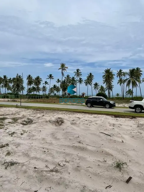Terreno / Lote à venda, 700m2 em Mata De Sao Joao - BA - imagem 3 Foto 3 de Terreno / Lote à venda, 700m2 em Mata De Sao Joao - BA
