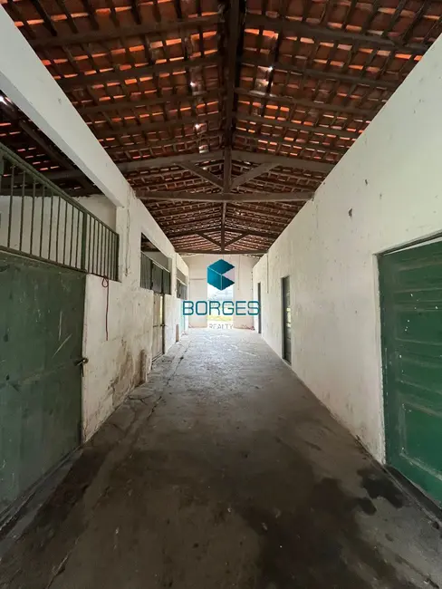 Foto 6 de Fazenda / Haras à venda, 2928300m2 em Feira De Santana - BA
