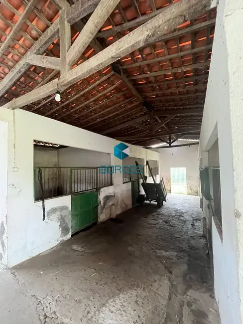 Foto 5 de Fazenda / Haras à venda, 2928300m2 em Feira De Santana - BA