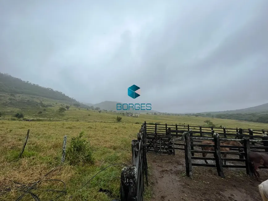 Foto 7 de Fazenda / Haras à venda, 2928300m2 em Feira De Santana - BA