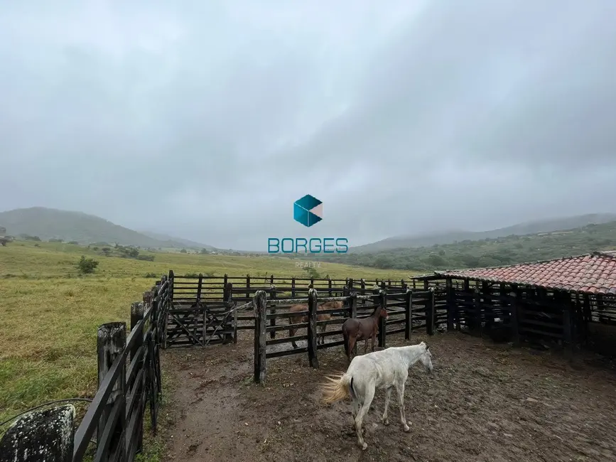 Foto 4 de Fazenda / Haras à venda, 2928300m2 em Feira De Santana - BA