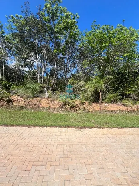 Foto 6 de Terreno / Lote à venda, 700m2 em Mata De Sao Joao - BA
