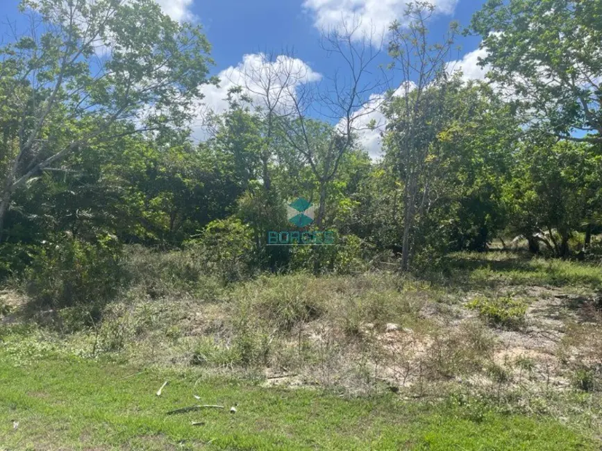 Foto 3 de Terreno / Lote à venda, 700m2 em Mata De Sao Joao - BA