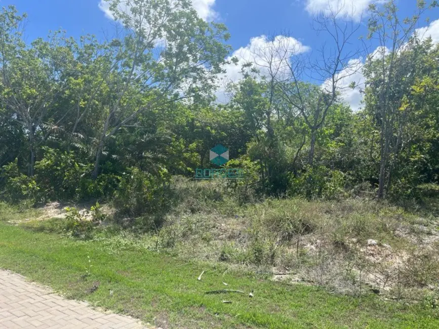 Foto 2 de Terreno / Lote à venda, 700m2 em Mata De Sao Joao - BA