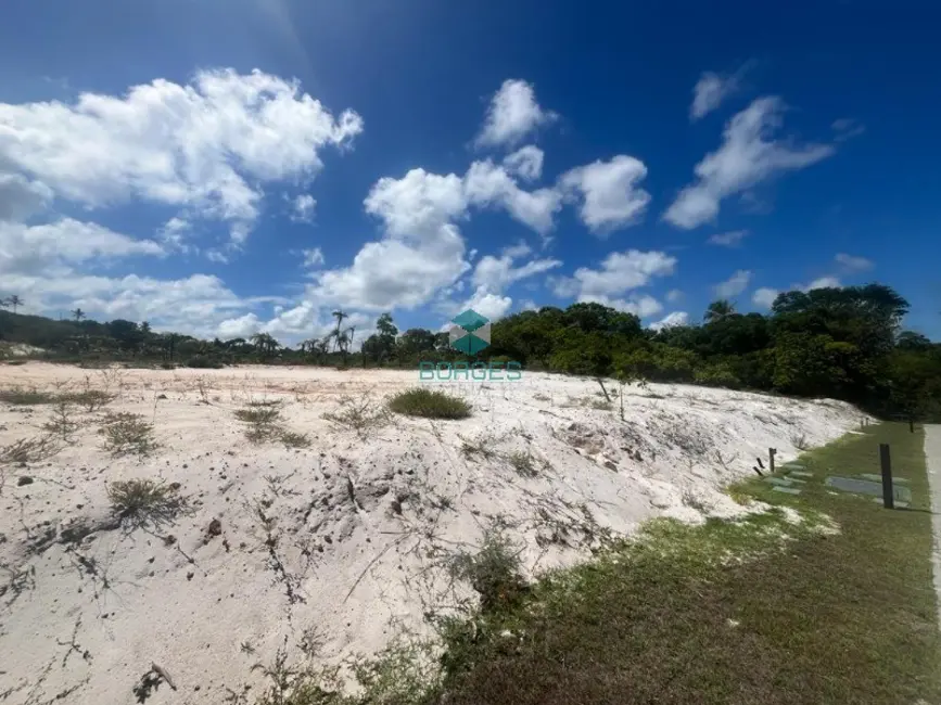 Terreno / Lote à venda, 700m2 em Mata De Sao Joao - BA - imagem 9 Foto 9 de Terreno / Lote à venda, 700m2 em Mata De Sao Joao - BA