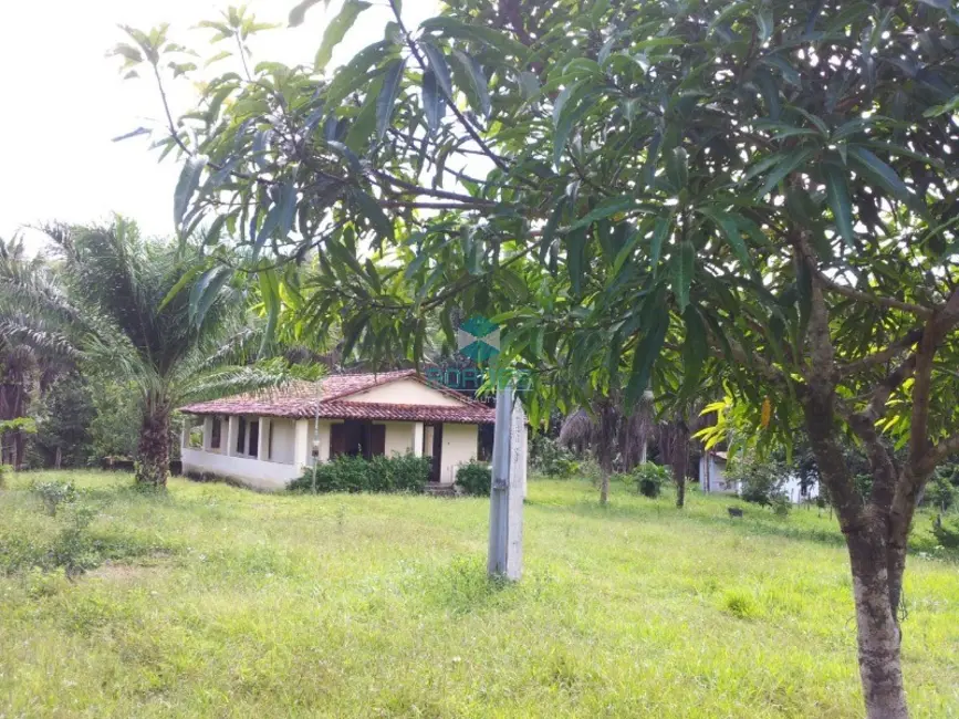 Foto 3 de Fazenda / Haras à venda, 20000m2 em Jaguaripe - BA