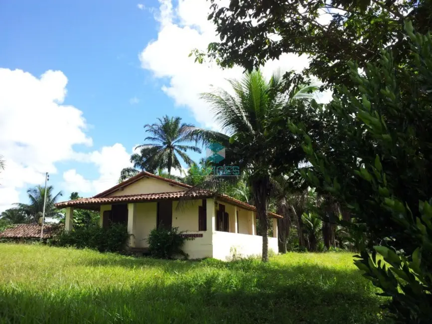 Foto 1 de Fazenda / Haras à venda, 20000m2 em Jaguaripe - BA