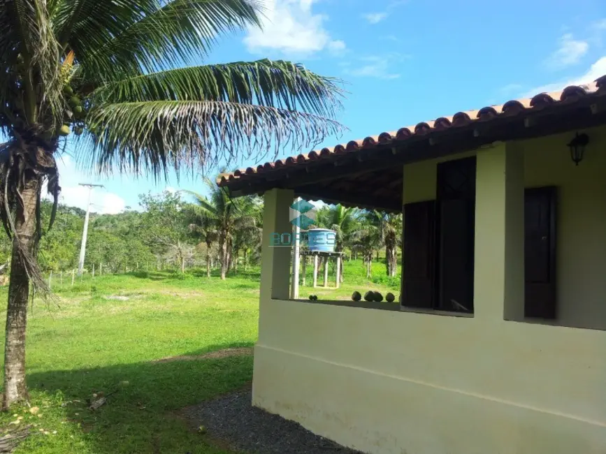 Foto 5 de Fazenda / Haras à venda, 20000m2 em Jaguaripe - BA