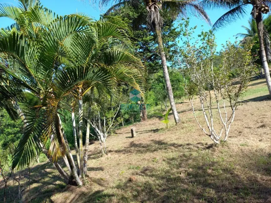 Foto 6 de Fazenda / Haras à venda, 20000m2 em Jaguaripe - BA