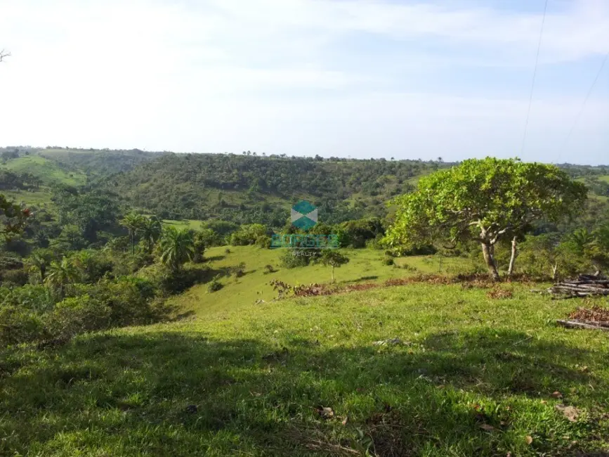 Foto 8 de Fazenda / Haras à venda, 20000m2 em Jaguaripe - BA