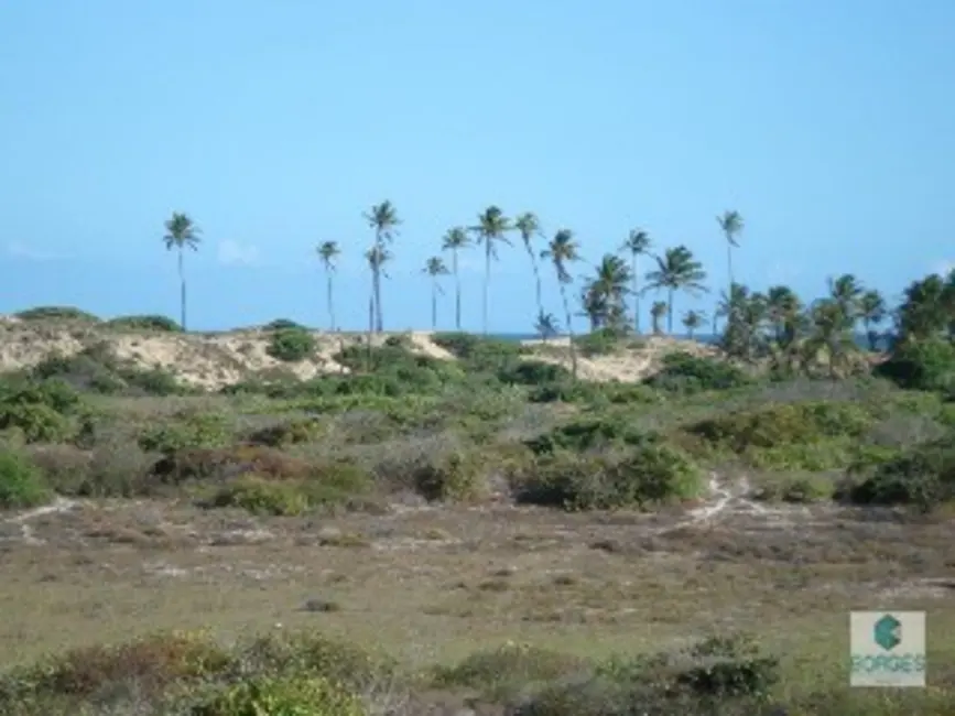 Foto 4 de Terreno / Lote à venda, 77017m2 em Conde - BA