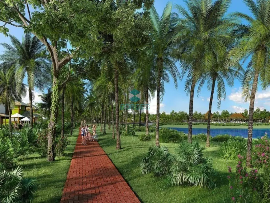 Terreno / Lote à venda, 594m2 em Mata De Sao Joao - BA - imagem 7 Foto 7 de Terreno / Lote à venda, 594m2 em Mata De Sao Joao - BA