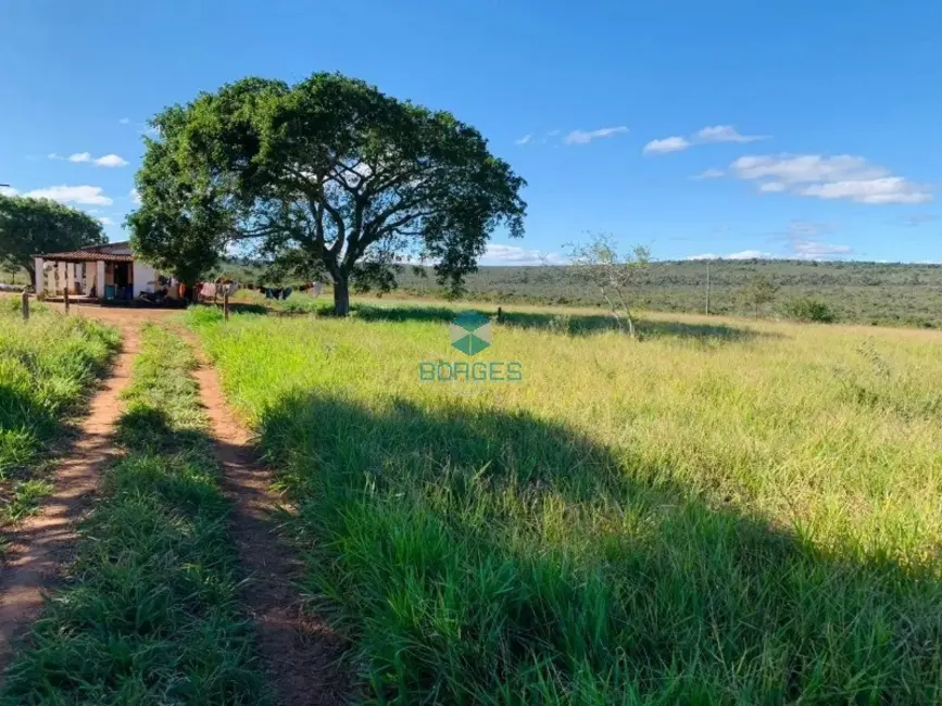 Foto 1 de Fazenda / Haras à venda em Morro Do Chapeu - BA