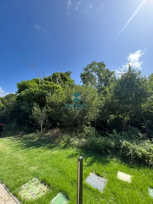 Foto 4 de Terreno / Lote à venda, 700m2 em Mata De Sao Joao - BA